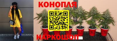 герыч Новокубанск