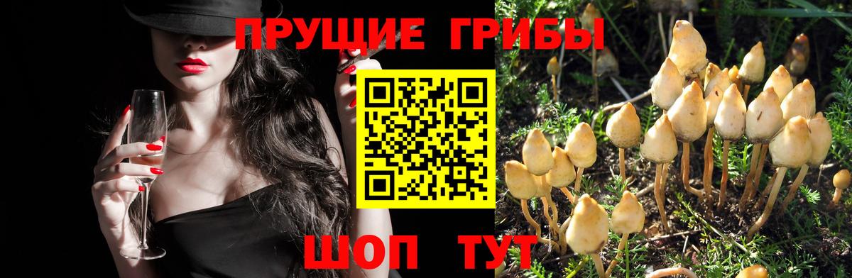 Псилоцибиновые грибы мухоморы Сорочинск