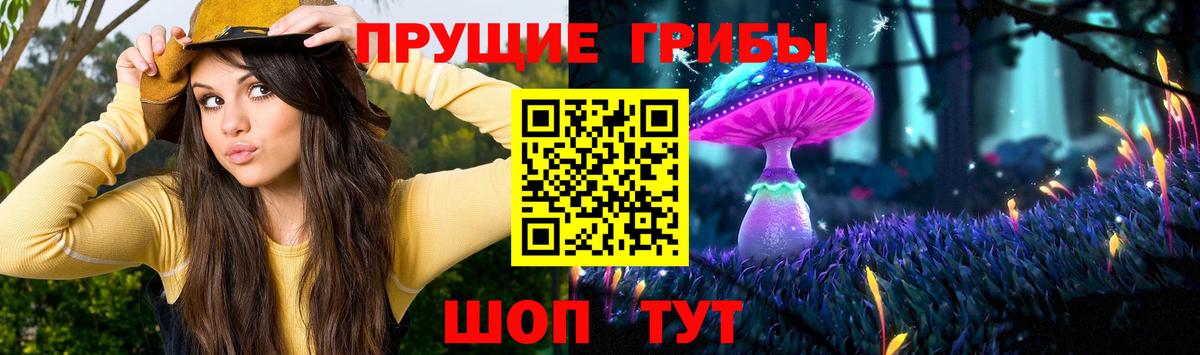 Псилоцибиновые грибы ЛСД  Вход с VPN  Сорочинск 